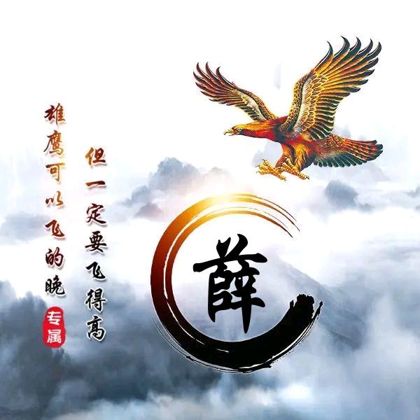 风雨无阻685