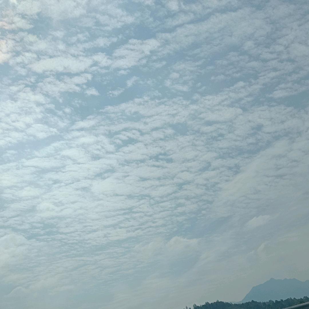 青山绿水