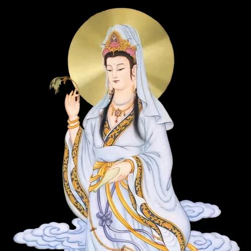 乔老爺坐轿⭐