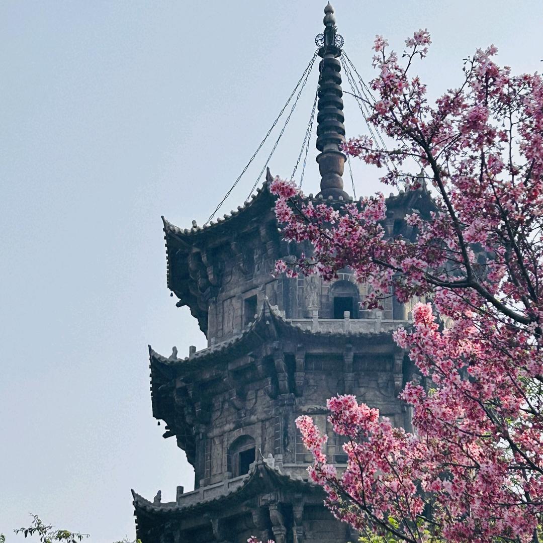宝，哥想吃鱼了
