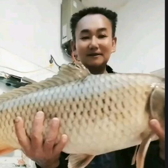 抬头一笑（户外野钓）
