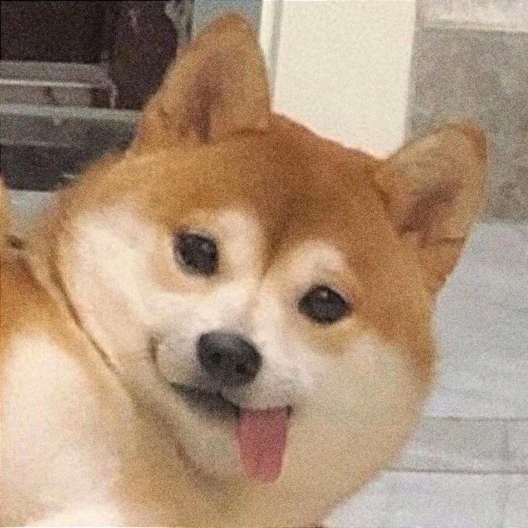 冷酷小狗🐶