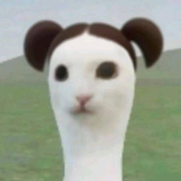 橘子意面