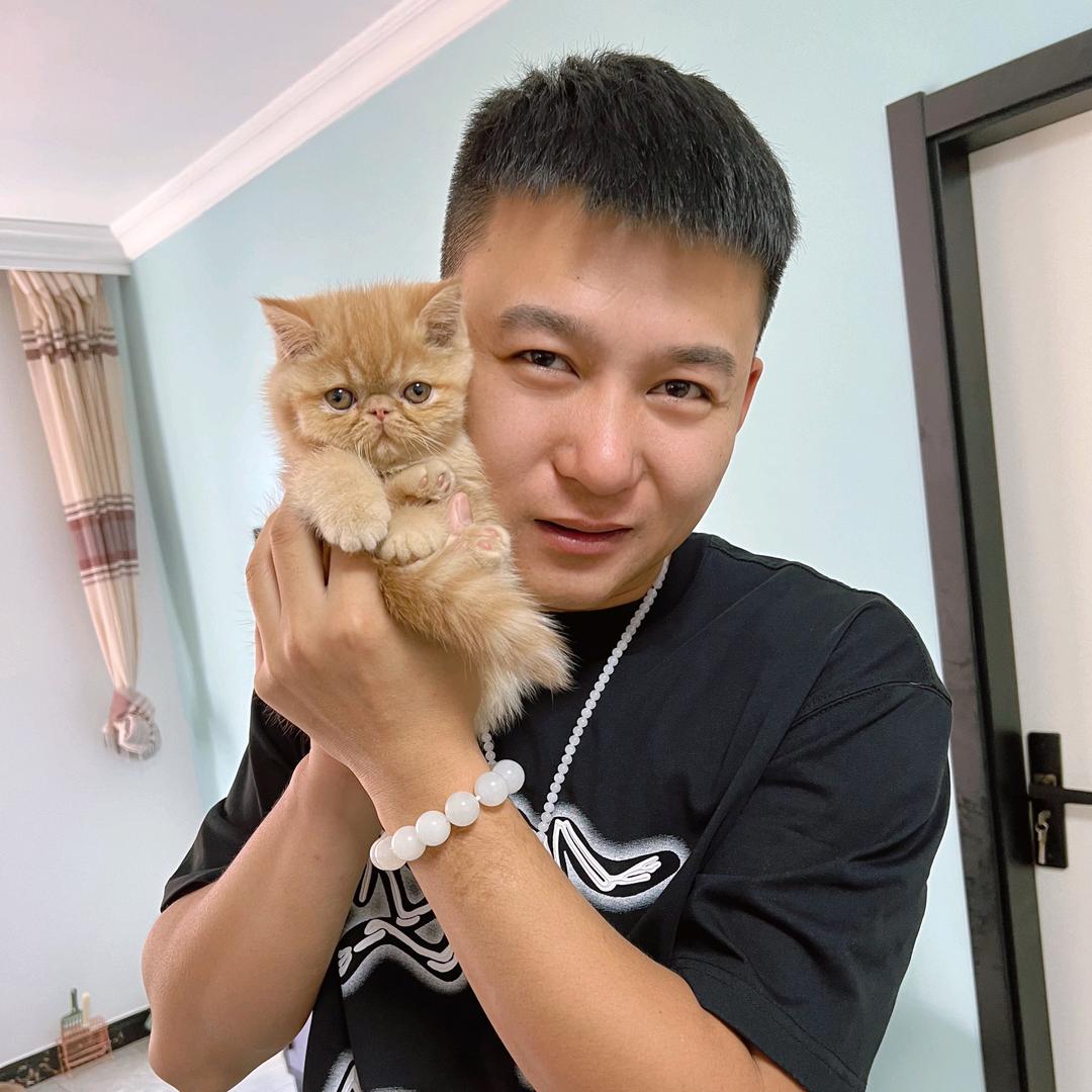 家肥猫