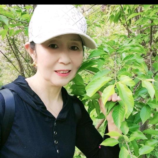 杨三姐