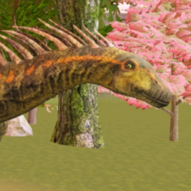 诅咒之岛😭😭😭谁能借给主播一个号玩