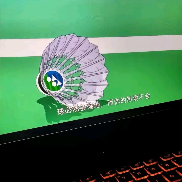 言行必果