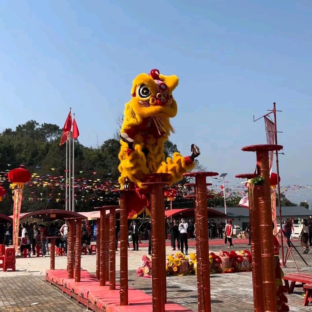 🇨🇳阿宏不会舞狮🦁