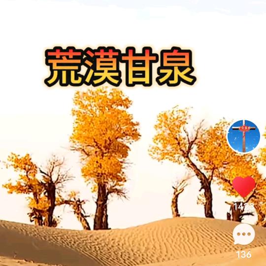 洁玉冰心