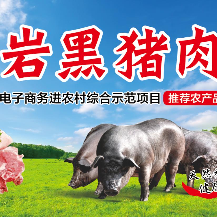 东北健康黑笨土猪