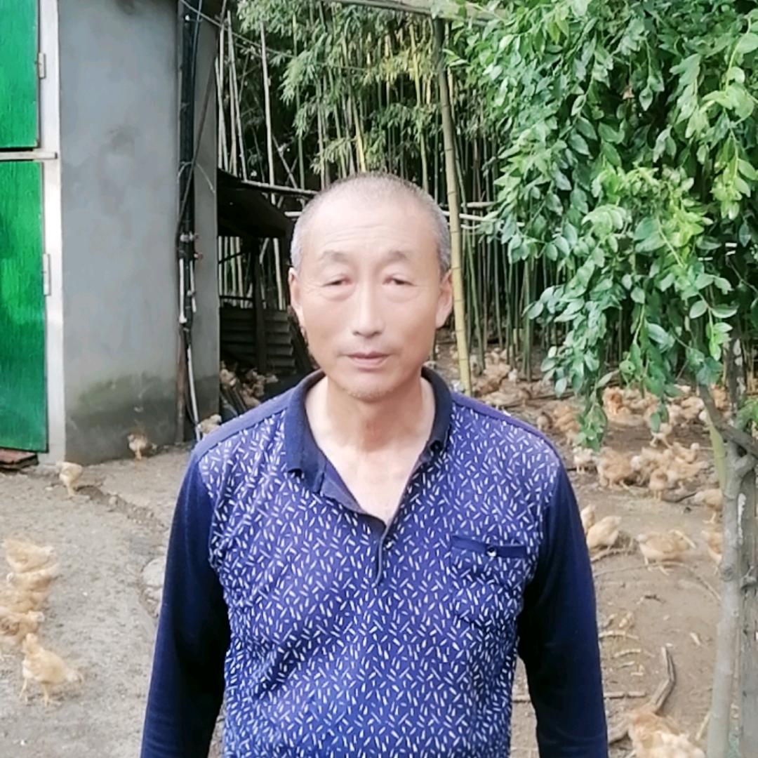 养鸡人