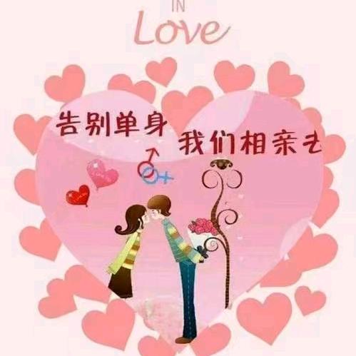 协荣丹（相遇诺优）