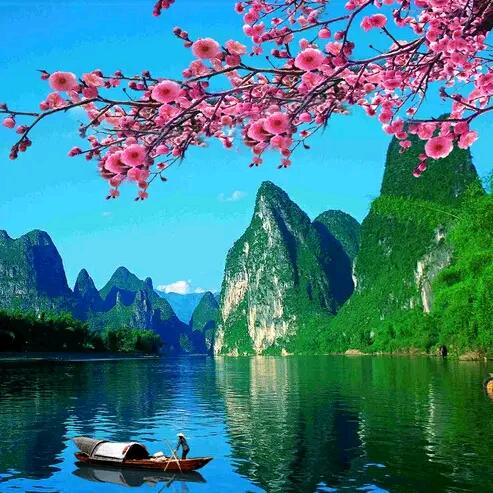 朱造辉煌᭄🌺ོᝰ᭄