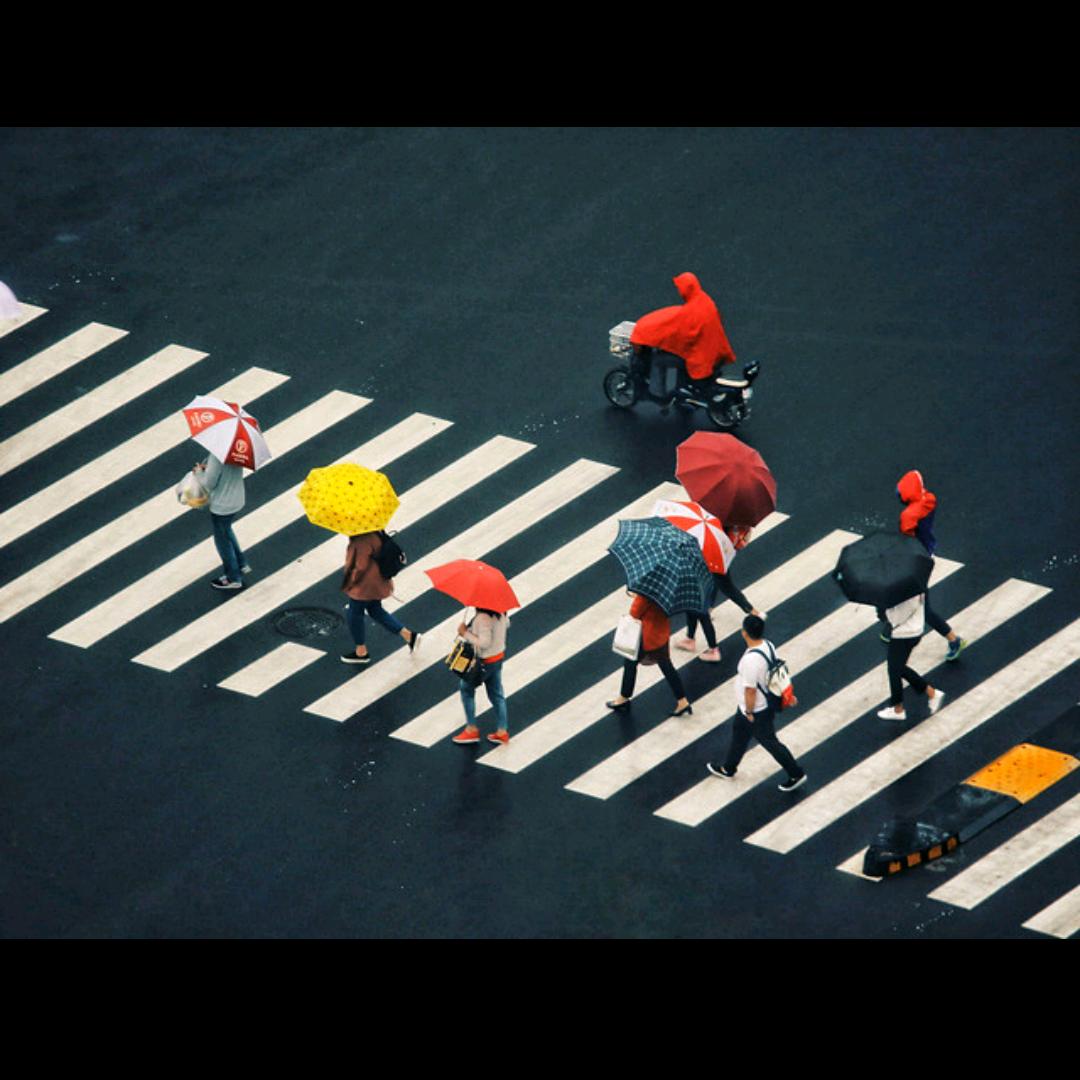 自我发掘小怪兽