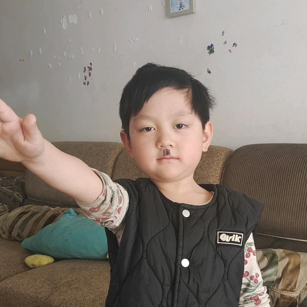 聊个鸟