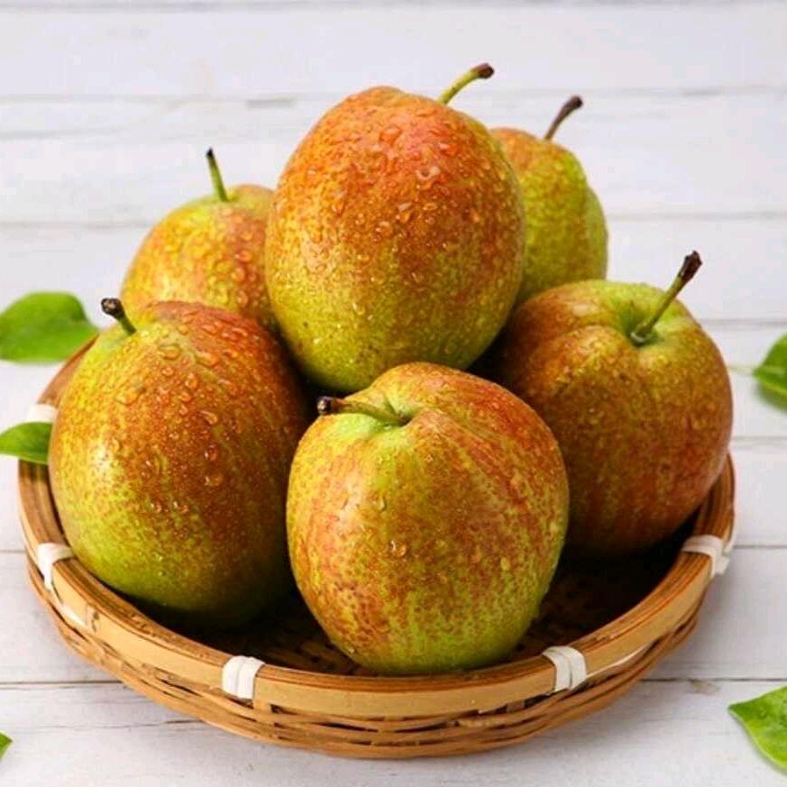 鑫果盛扬果业媚梨