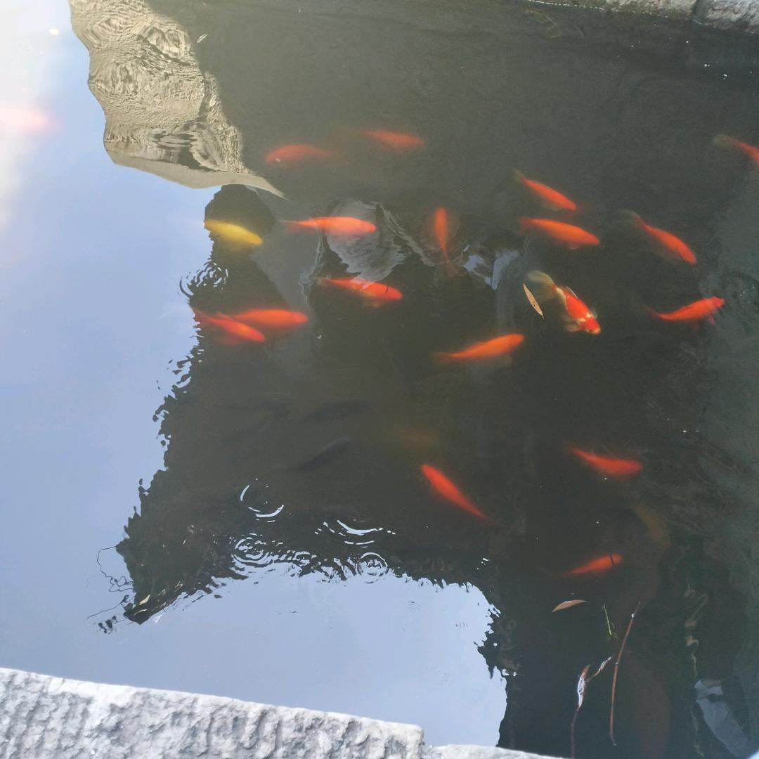 未来可期于