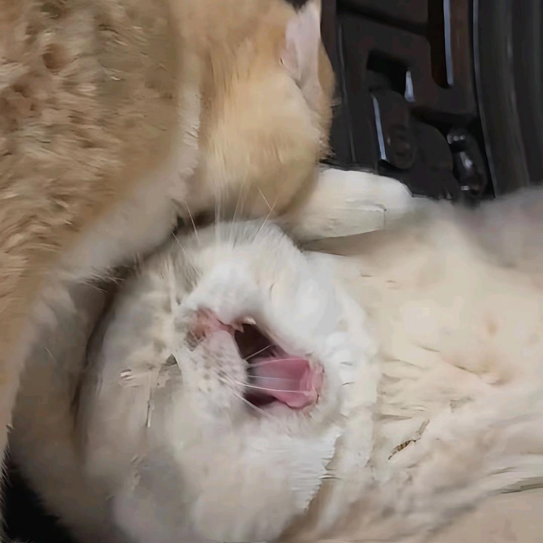 独佳报道头像