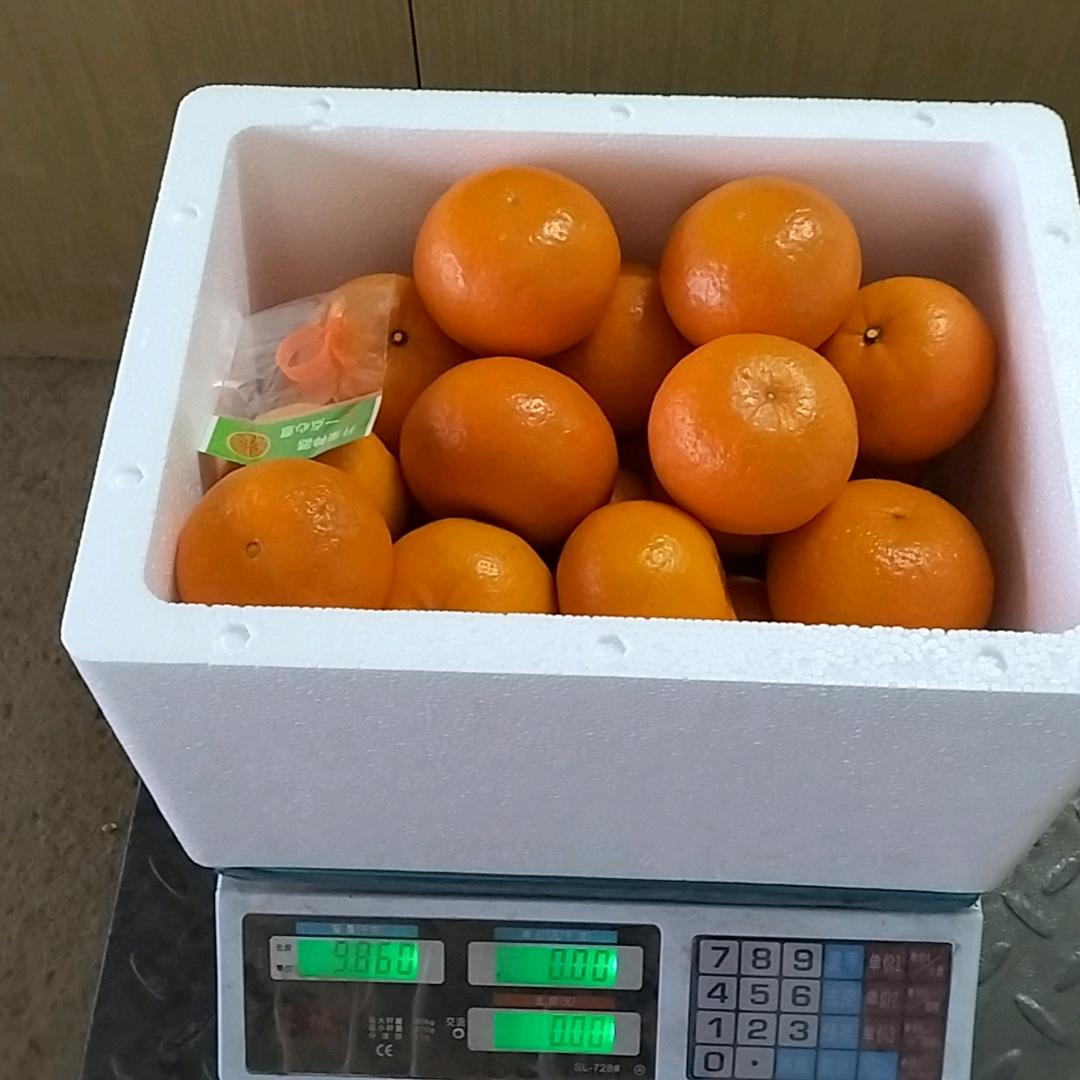 爱你一生@