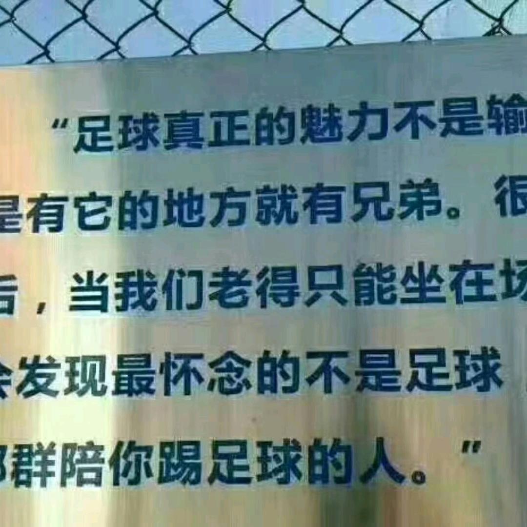 飞扬