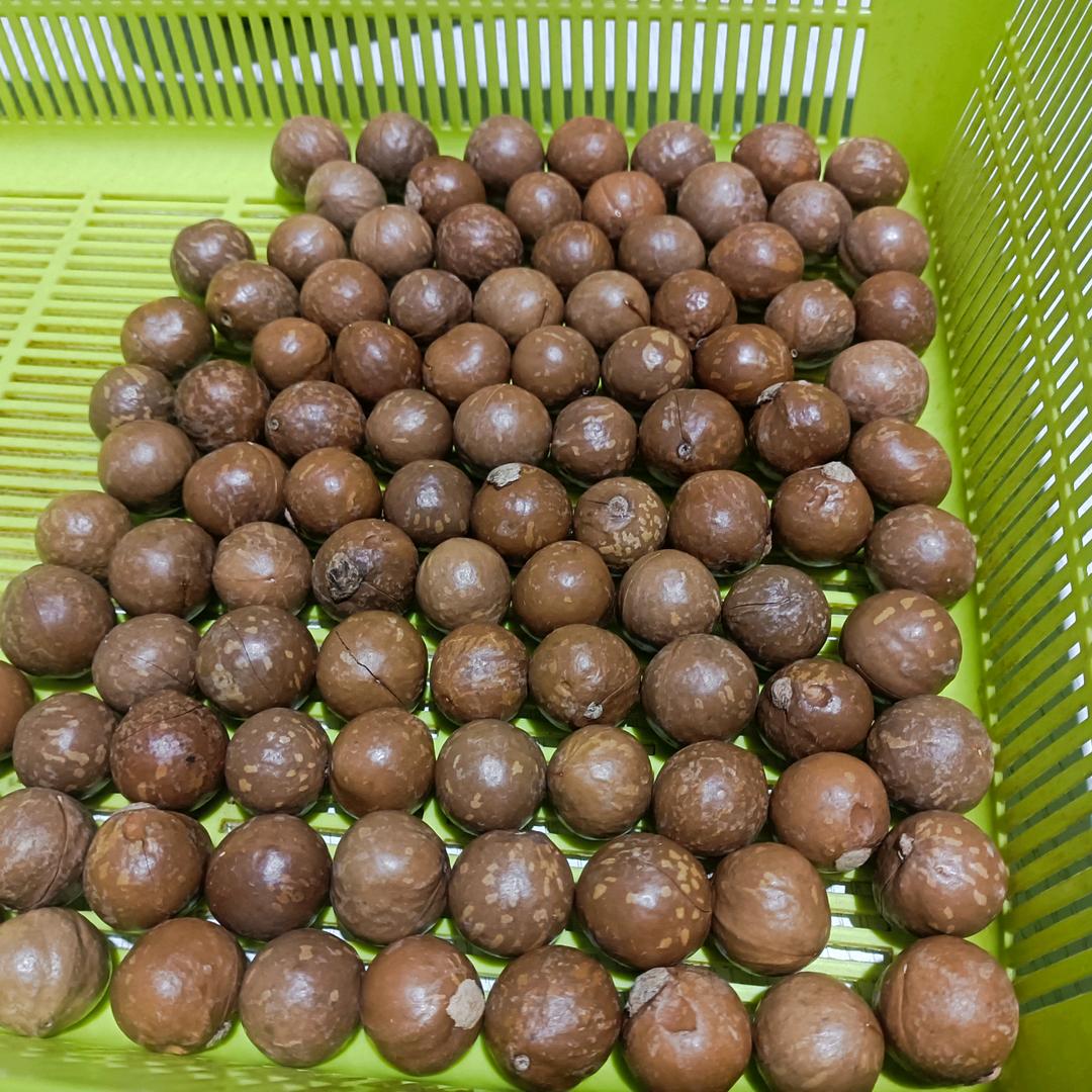 滇西表哥农副产品