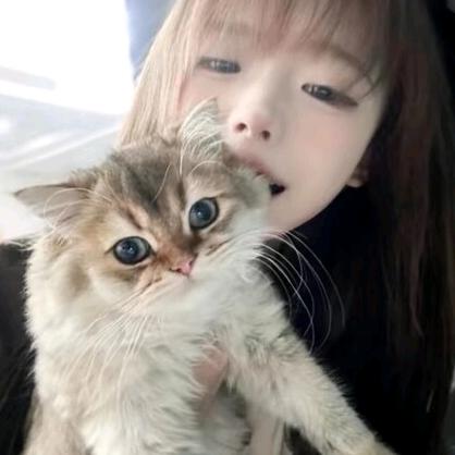 Lea.不该
