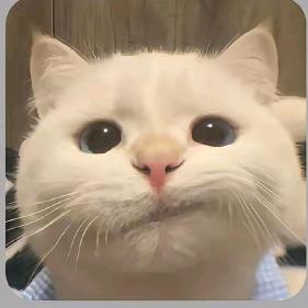 我