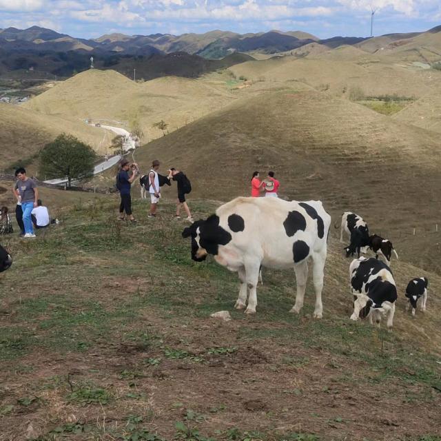 💰: 🚬格ಇ局᭄
