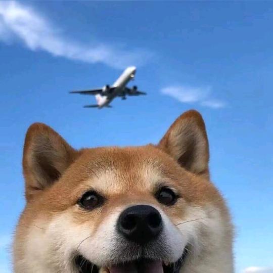 极光...