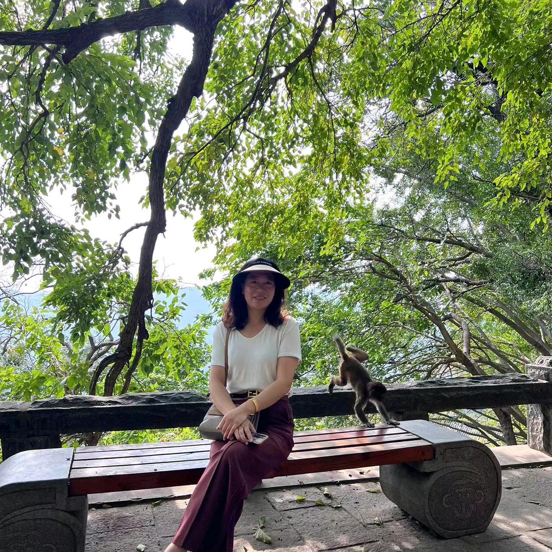 燕子—鑫宇玻璃