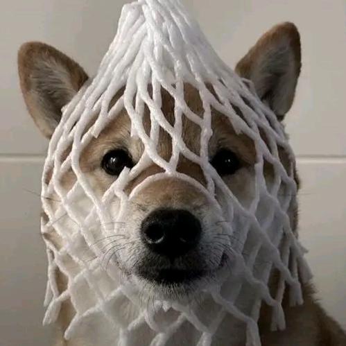 我不是