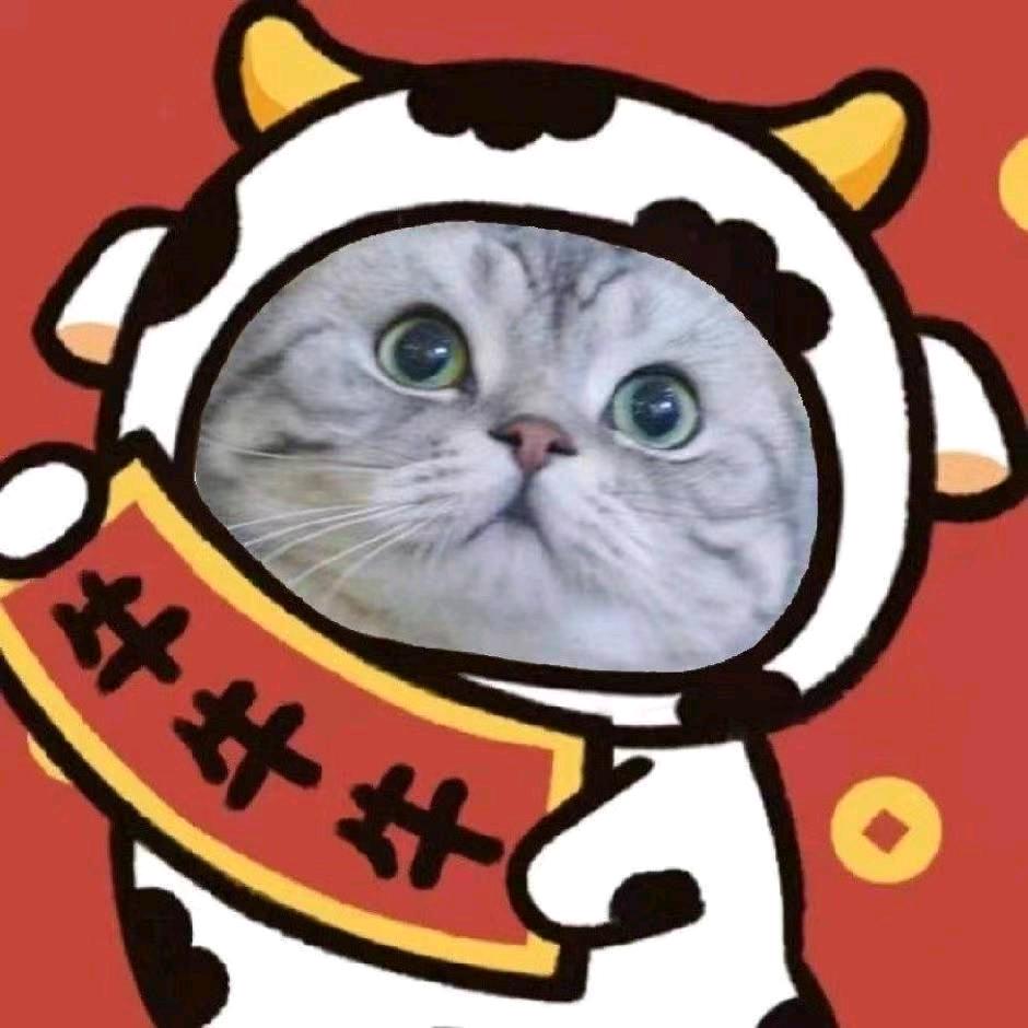 养猫的十二