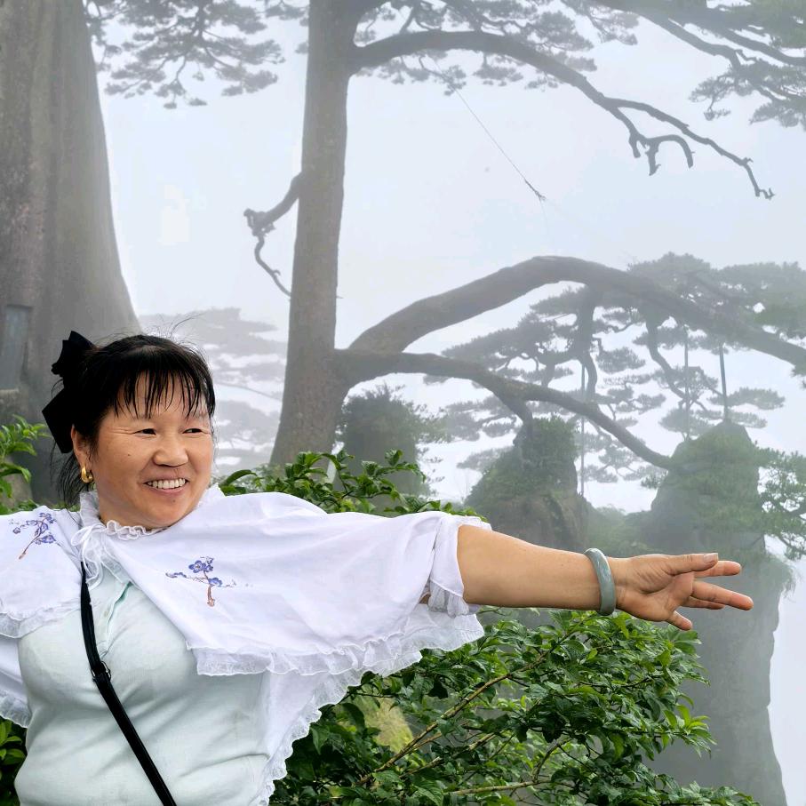 小燕子，一个孤单的燕子