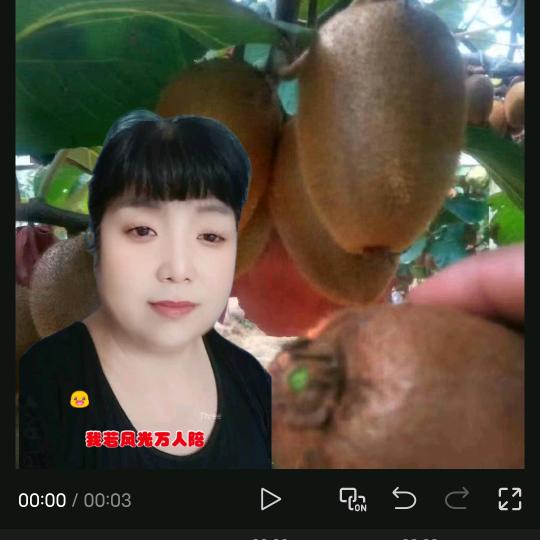 (渭南颜姐)翠香猕猴桃