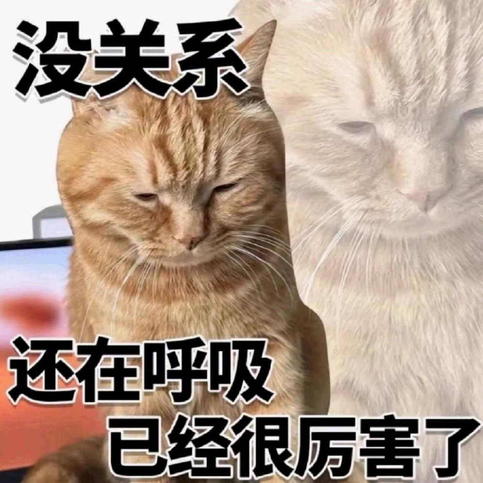 赘肉啊