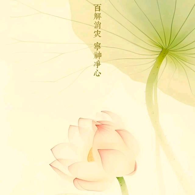 o(〃＾▽＾〃)o