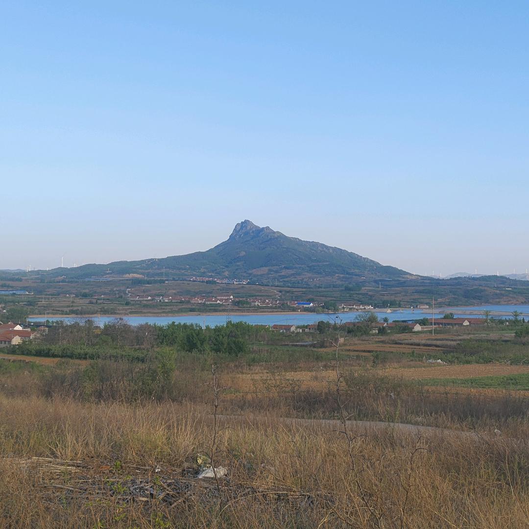 烟台苹果🍎（峻青的故乡）