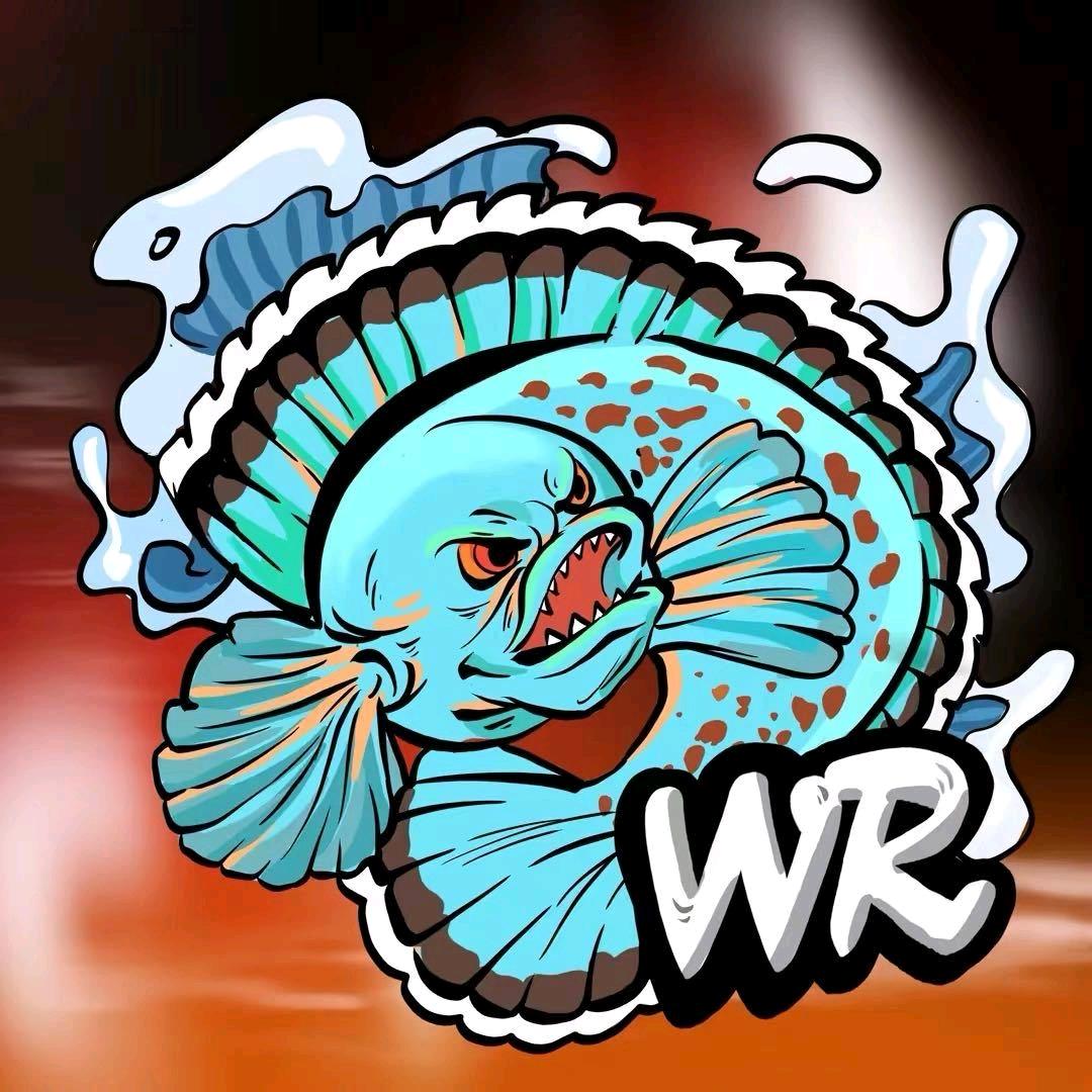 WR雷龙（小号）