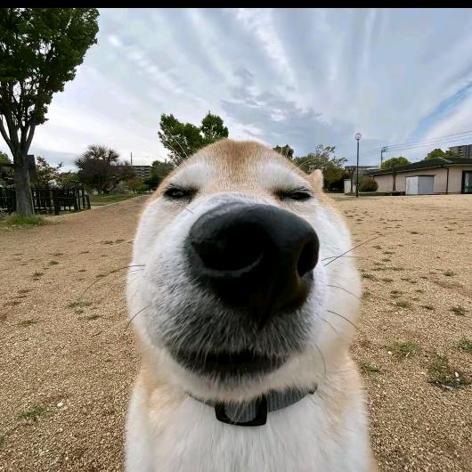 🌈永远保持内裤干燥