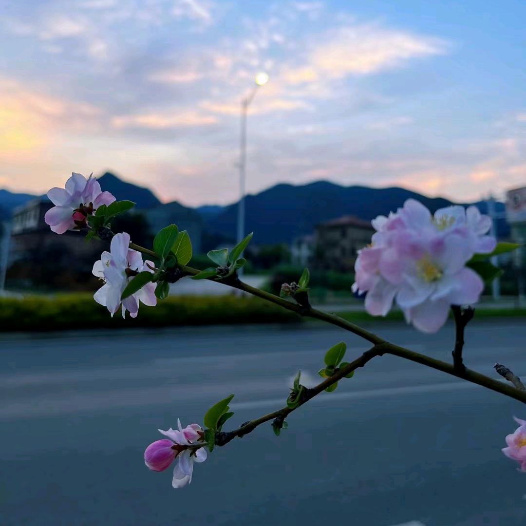 铁血军魂