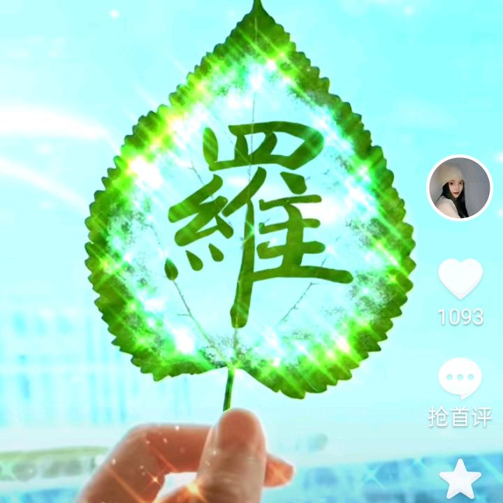 柒哥