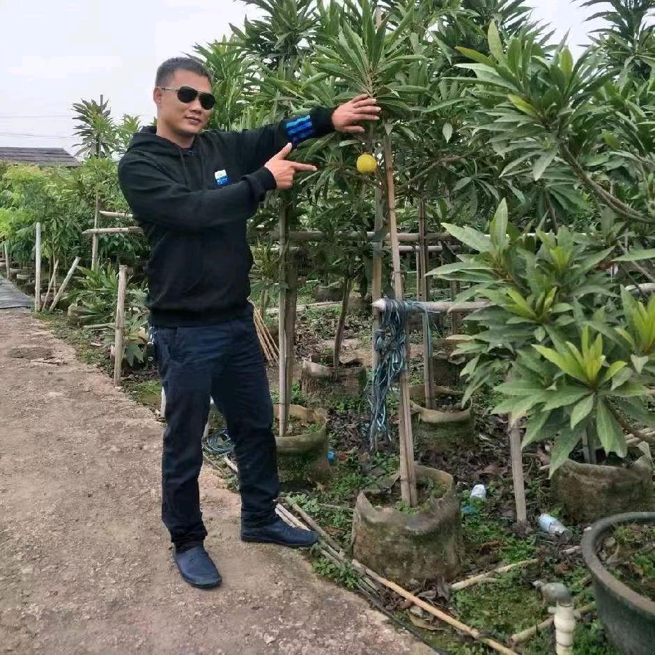 生鲜果树苗蔬菜农产品达人