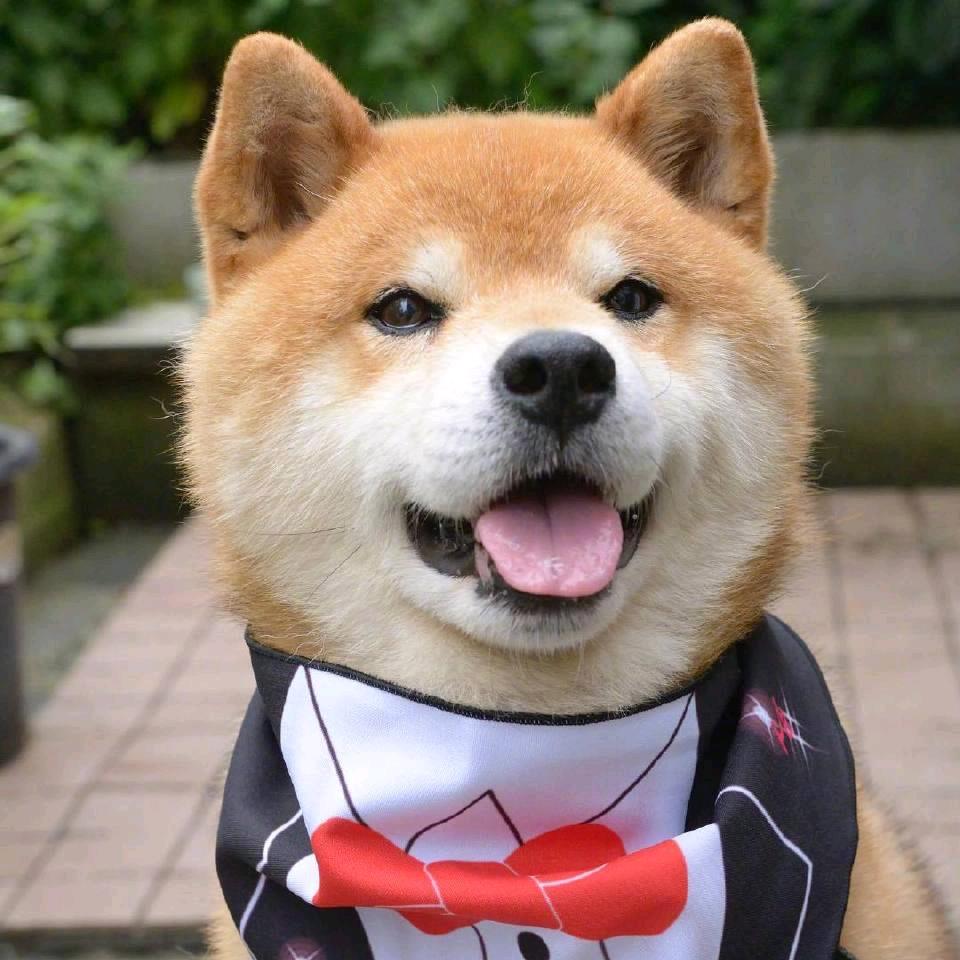 叁仟💕