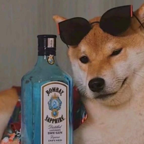 天天