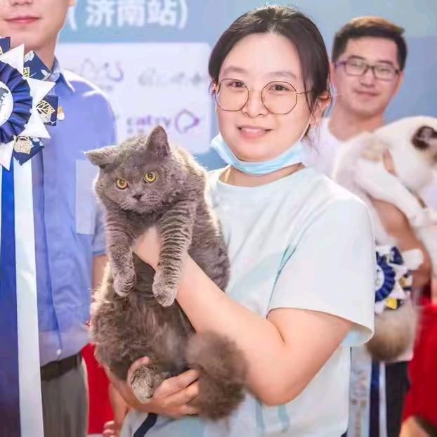 徐姐的猫咪繁育基地