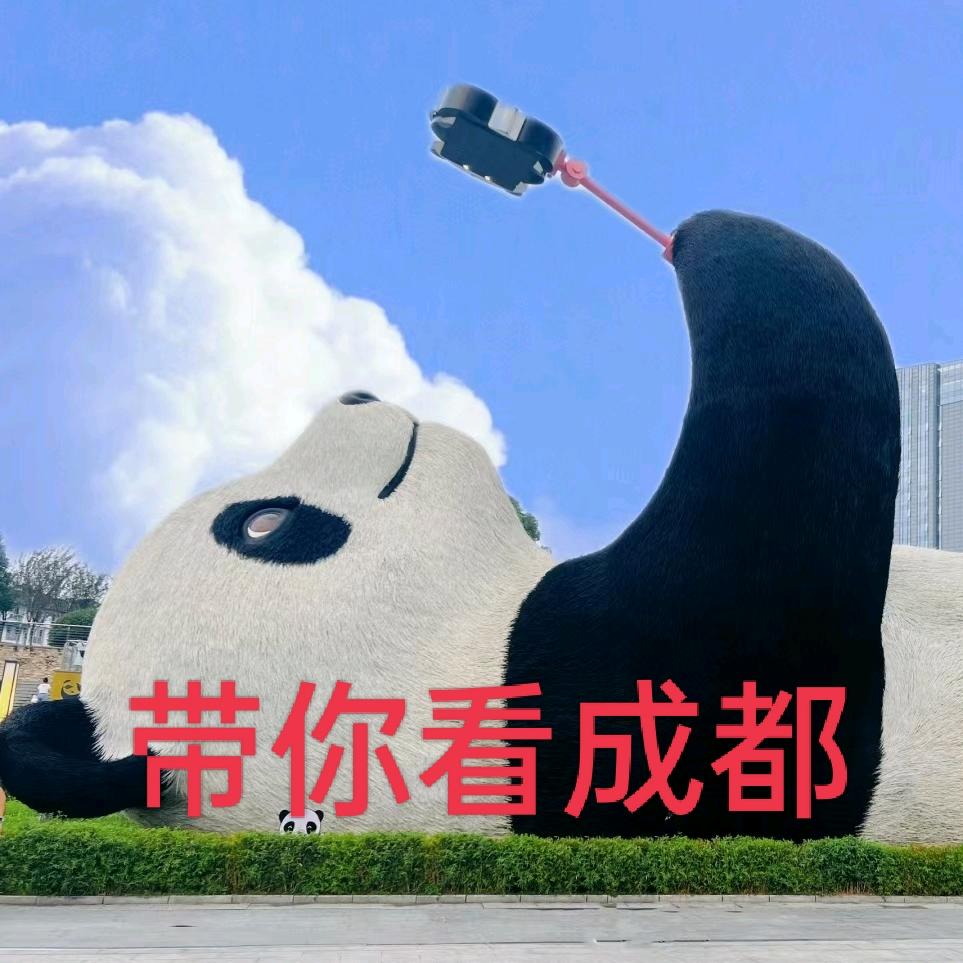 滨滨带你嗨成都