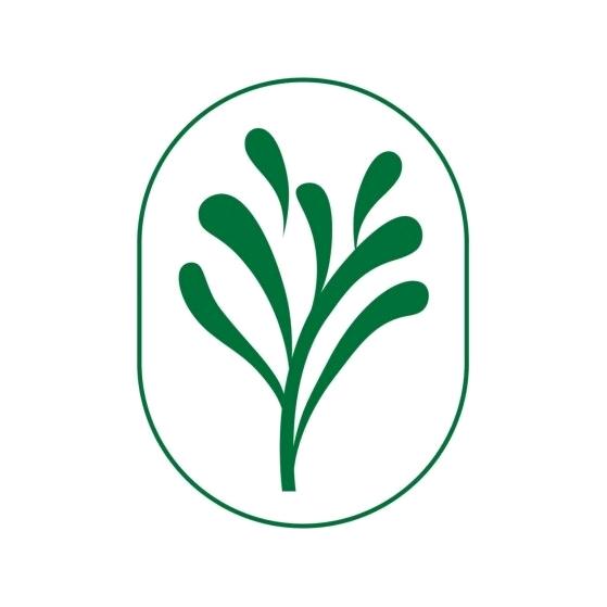 天之草汉麻肽蛋白粉专研代谢营养代谢修复