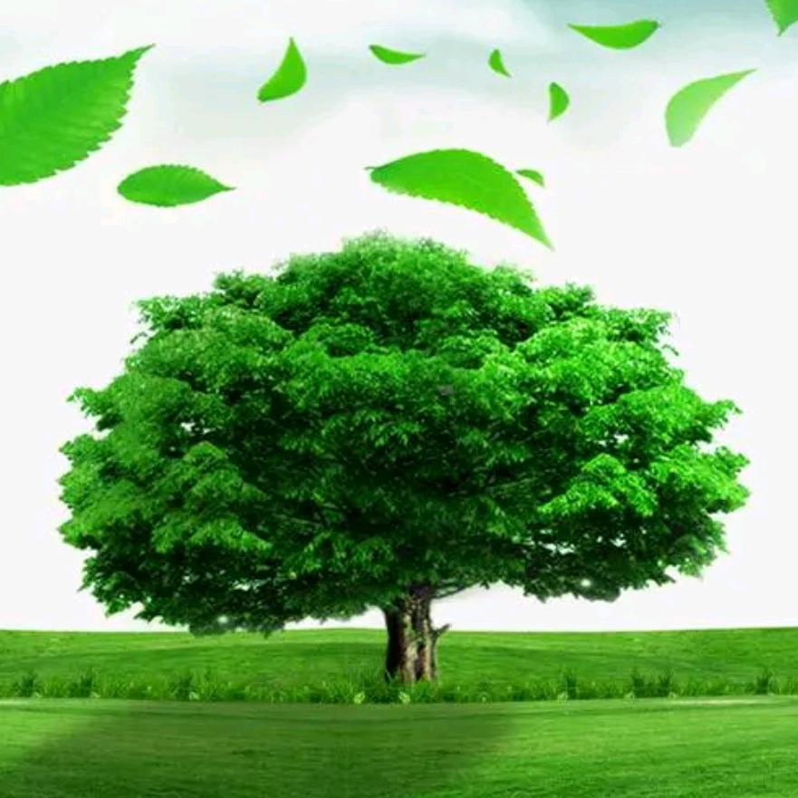 三界正义门❤️