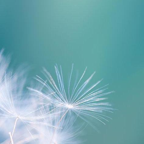 虚荣心里突然