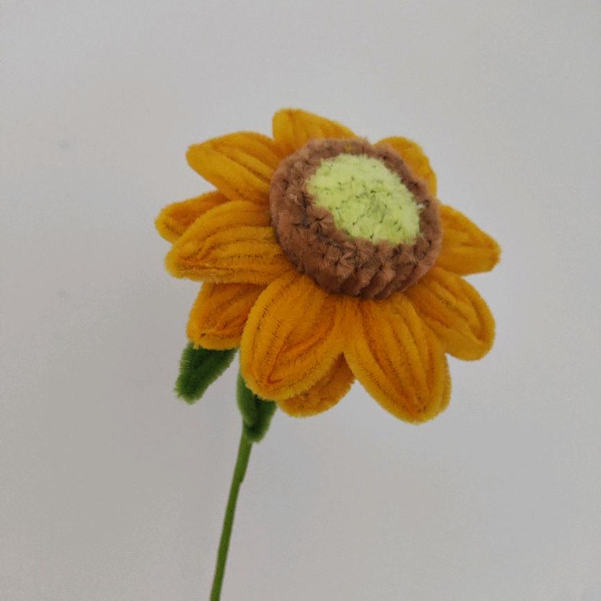 橙子